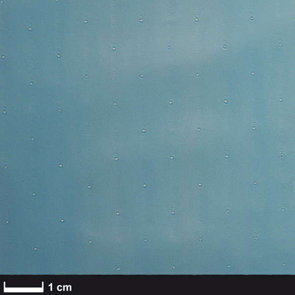 Перфорированная пленка синяя P3, 25 мкм, 100 см (формование)